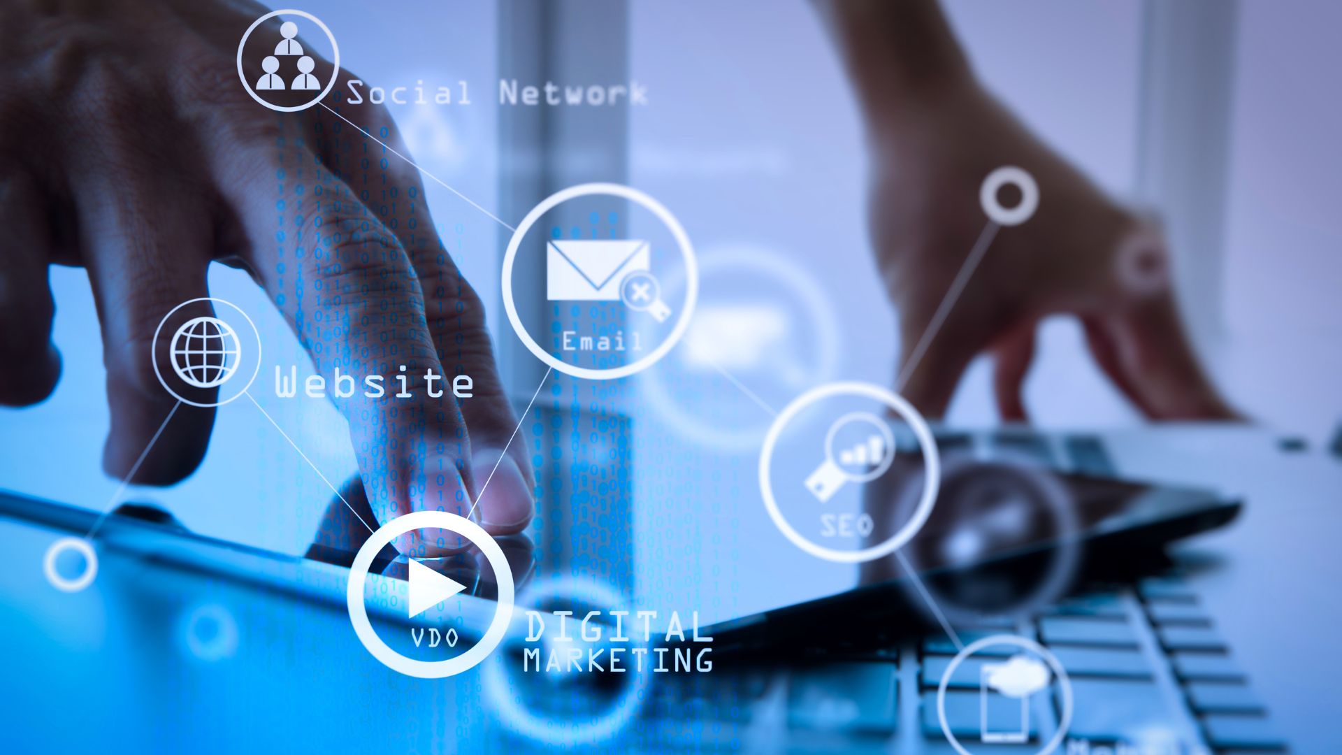 Project Lead - Digital Marketing